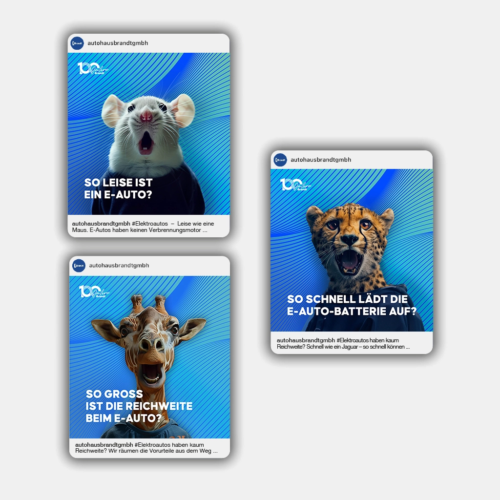 Autohaus Brandt Social Media Referenz Carousel